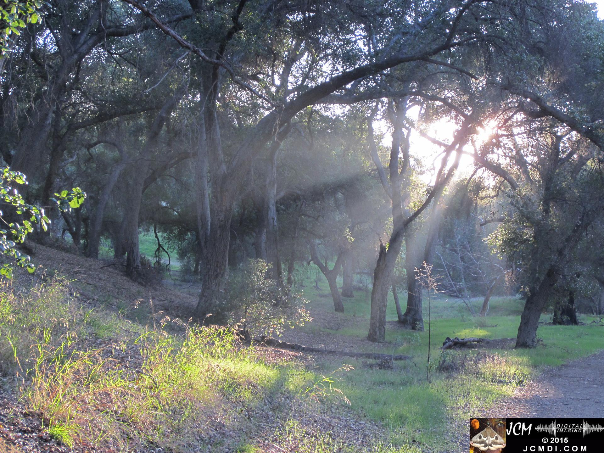 Whitney Canyon sunrays